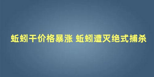 蚯蚓干价格暴涨 蚯蚓遭灭绝式捕杀